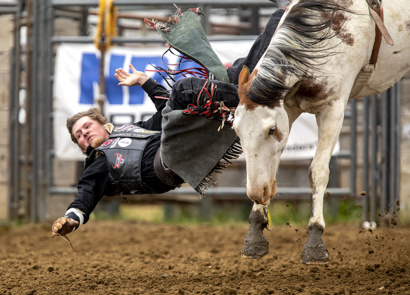 Rodeo galery
